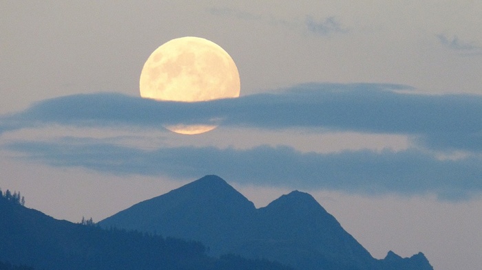 莱沃口腔‖“齿”刻享团圆，月饼要吃，牙齿也要保护