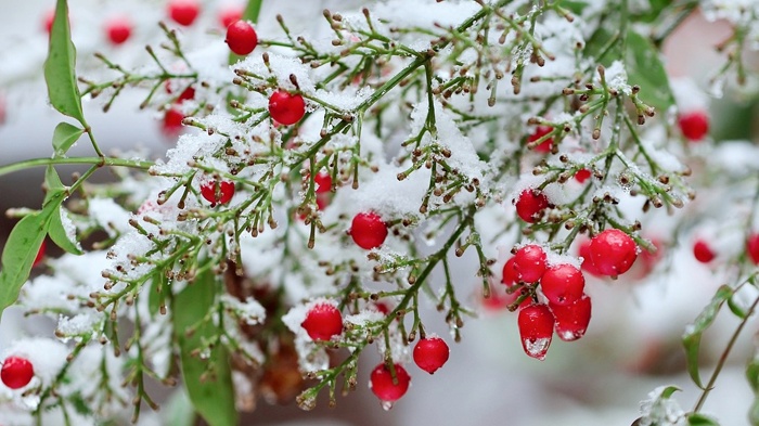 莱沃口腔‖小雪时节，天气渐寒，送您一份口腔“保暖”攻略