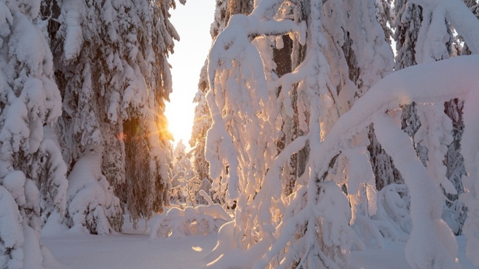 莱沃口腔‖大雪时节，一口好牙温暖寒冬
