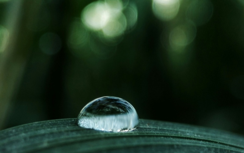 莱沃口腔‖白露：露从今夜白，齿从秋日护