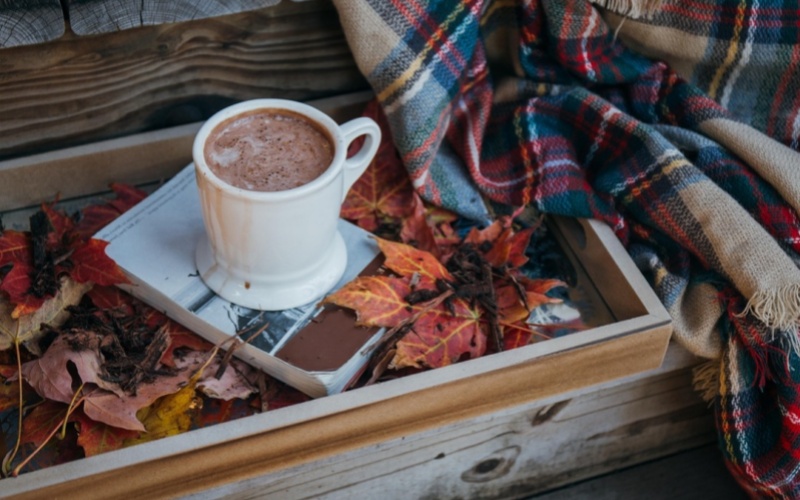 莱沃口腔‖秋分：秋风起，牙先知