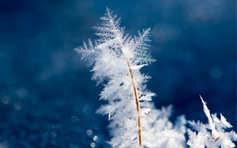 莱沃口腔‖小雪腌菜正当时！可我的牙齿怎么说“扛”不住了？