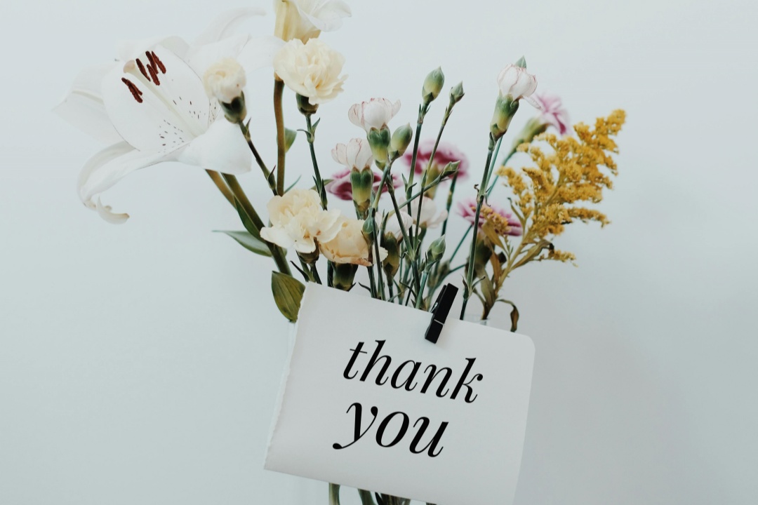 莱沃口腔‖从陌生到信赖：这个感恩节，我们想谢谢每一位“齿”间知己