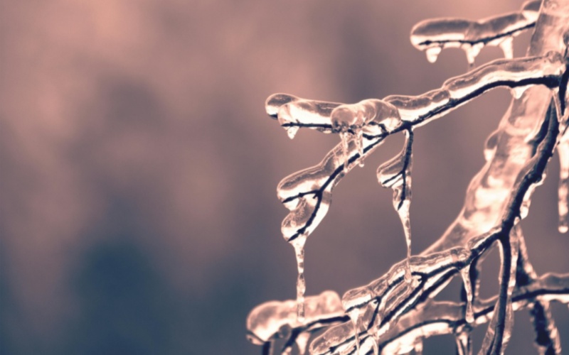 莱沃口腔‖小寒：冬日一碗粥，是养身还是伤牙？