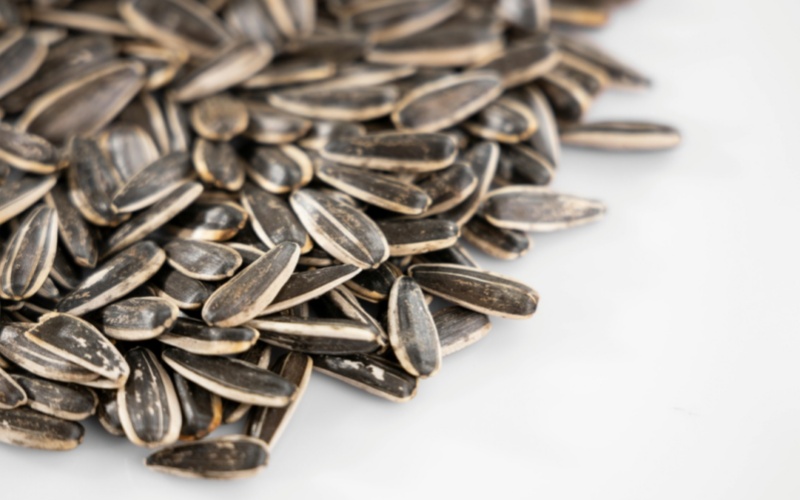 莱沃口腔‖嗑瓜子、啃骨头、开瓶盖……你的牙齿可能已经“累”出了工伤