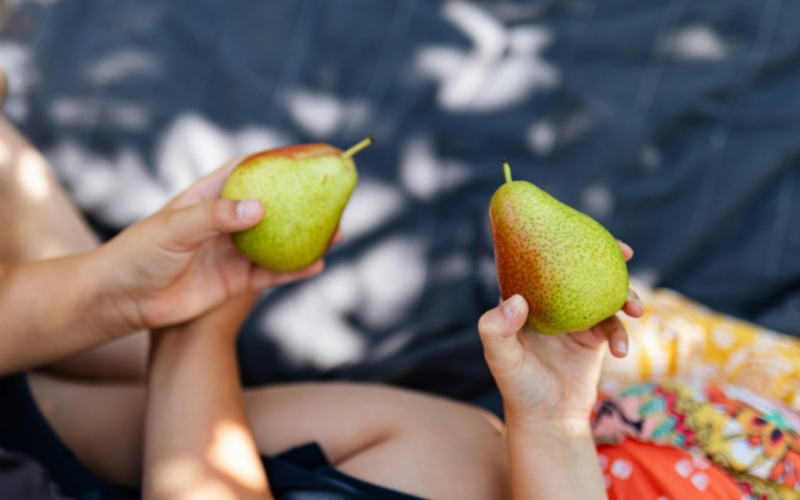 莱沃口腔‖惊蛰：润燥吃梨，别让好意伤了牙齿