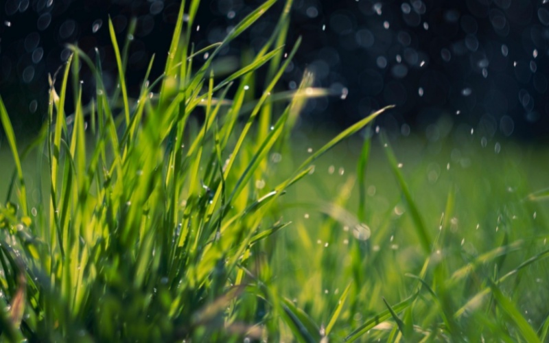 【莱沃口腔】清明假期不打烊，保障您及家人的口腔健康