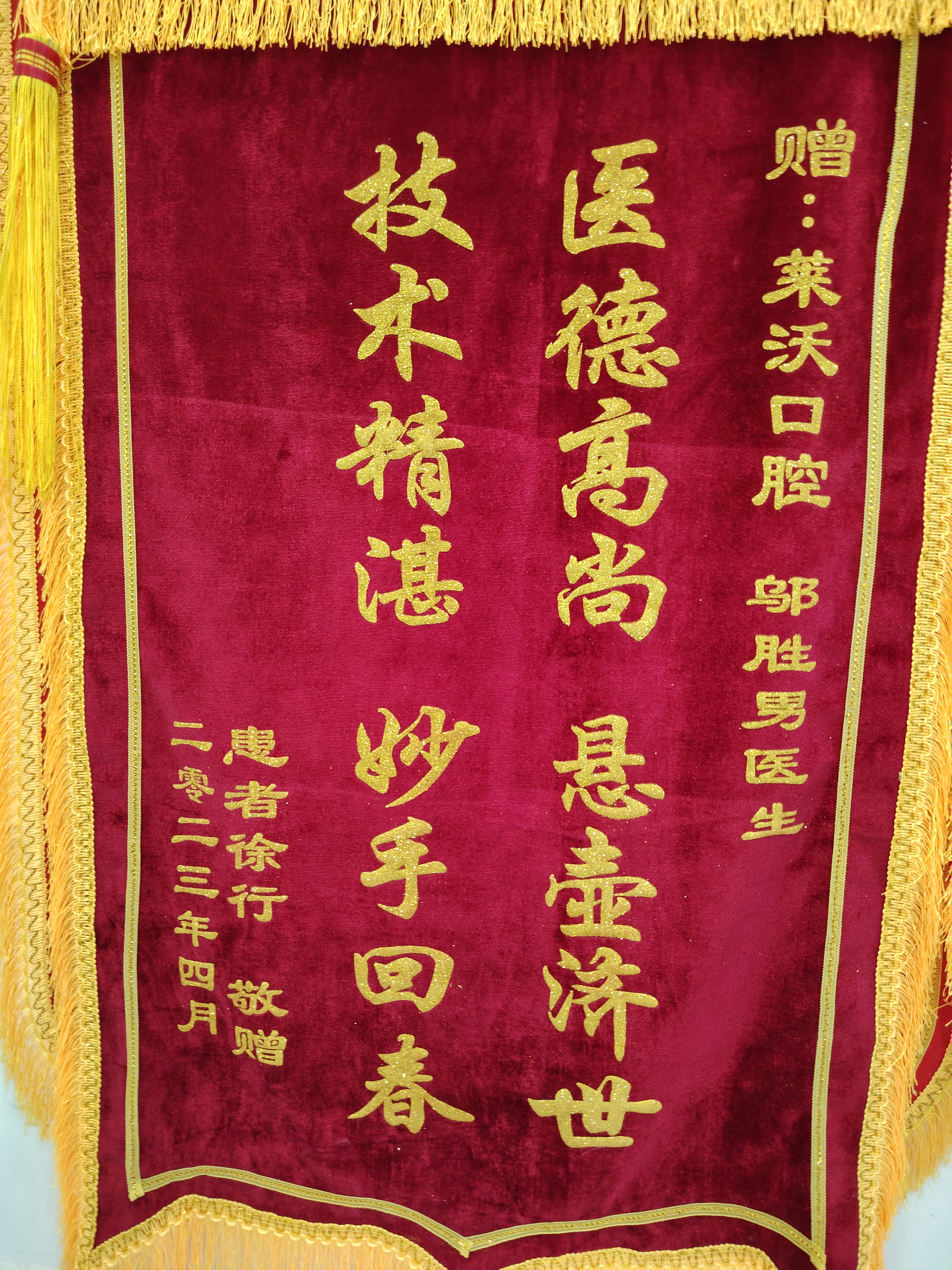 所获荣誉