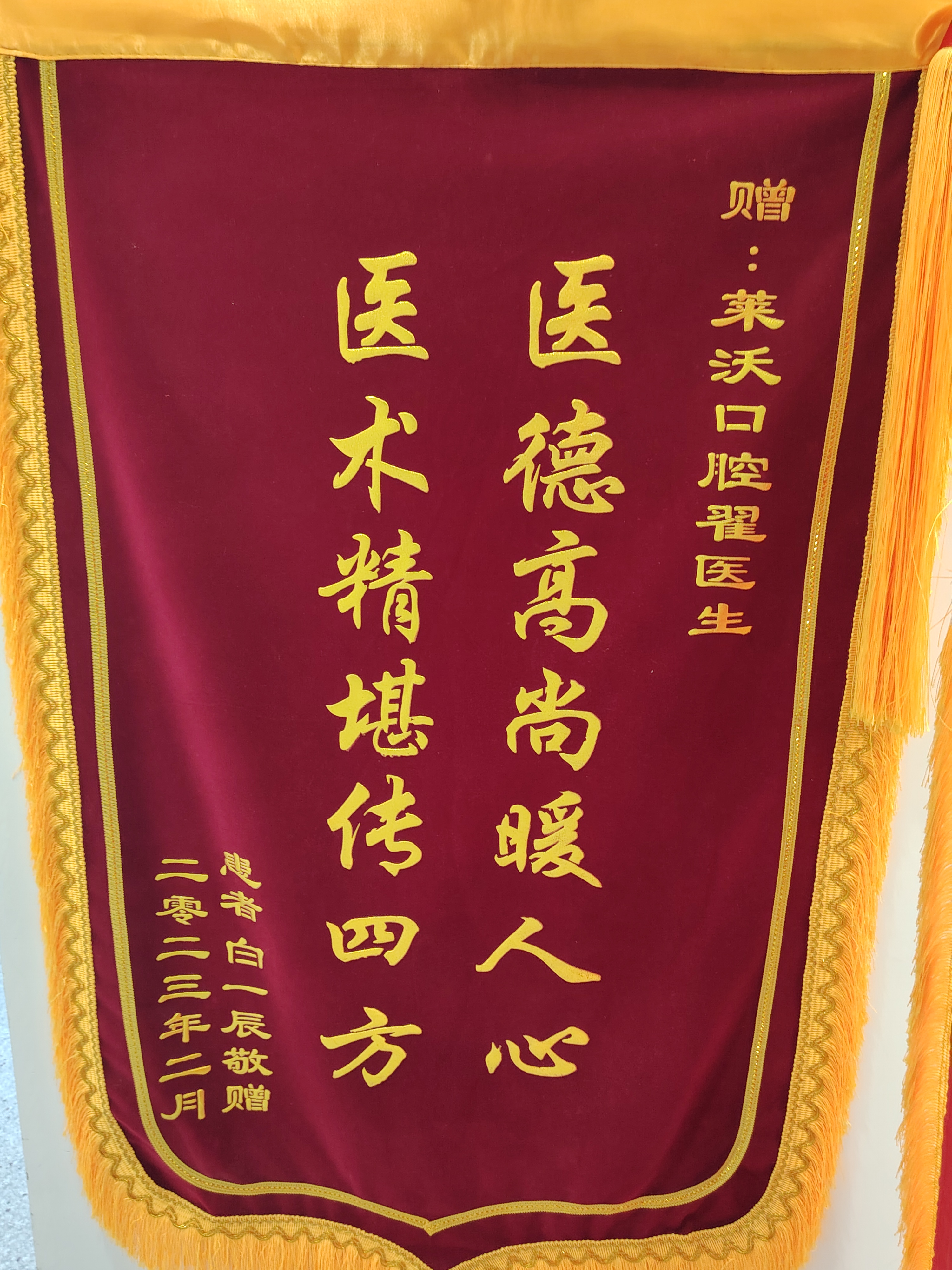 所获荣誉