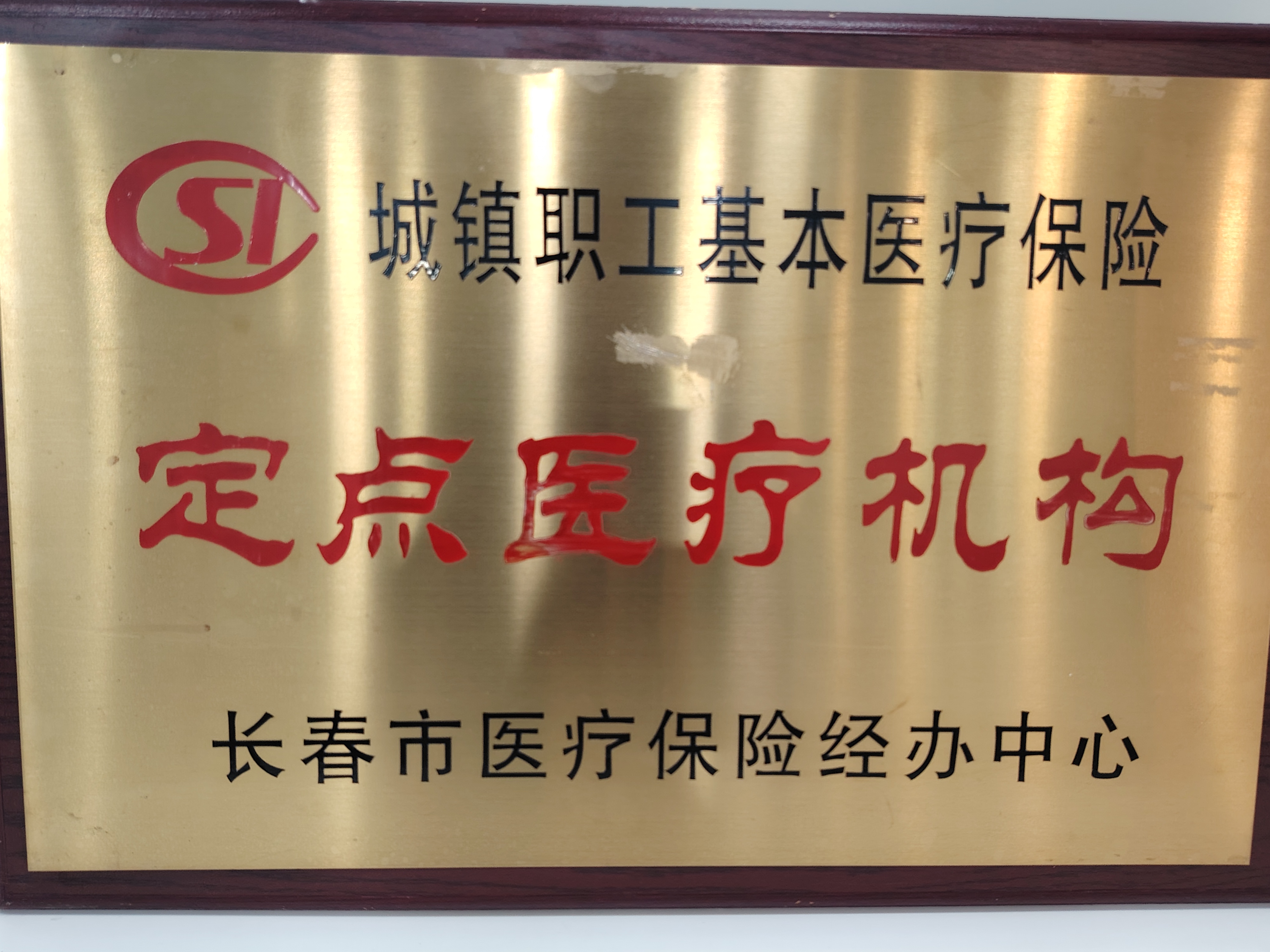 所获荣誉